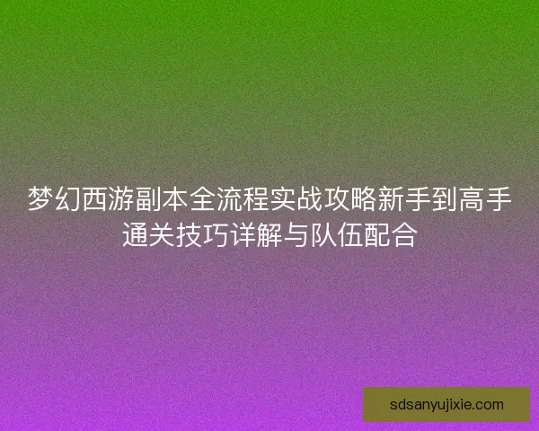 梦幻西游副本全流程实战攻略新手到高手通关技巧详解与队伍配合