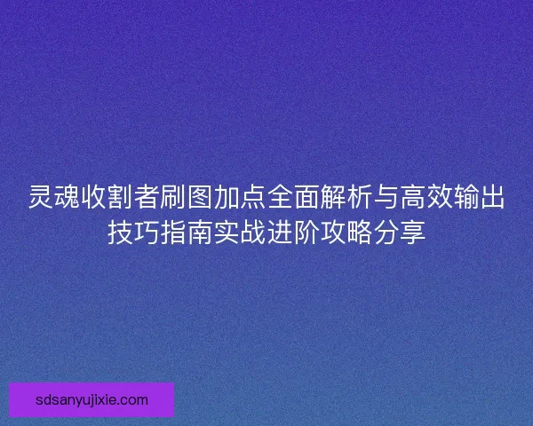灵魂收割者刷图加点全面解析与高效输出技巧指南实战进阶攻略分享