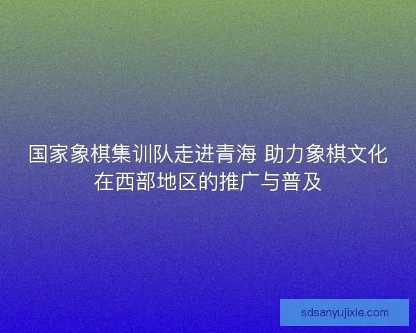 国家象棋集训队走进青海 助力象棋文化在西部地区的推广与普及